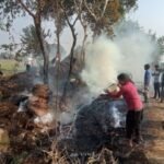 मथुरा15नवंबर25*गांव घड़ी हुलसी में 11000 की जर्जर लाइन की वजह से आग लग गई जिसमें किसानों का लाखों का नुकसान हुआ है