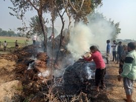 मथुरा15नवंबर25*गांव घड़ी हुलसी में 11000 की जर्जर लाइन की वजह से आग लग गई जिसमें किसानों का लाखों का नुकसान हुआ है