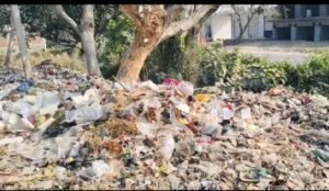 अयोध्या 28/11/25*प्रधानमंत्री नरेन्द्र मोदी के स्वच्छ भारत स्वस्थ भारत के सपनों को किया जा रहा तार,तार।