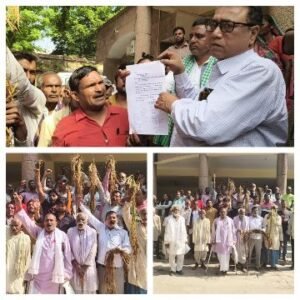 बाँदा4नवम्बर25*बांदा-बेमौसम बरसात से बर्बाद हुई किसानों की सैकड़ो बीघे की फसल*