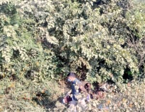 उत्तरप्रदेश 2सितम्बर 25*बरेली में एक महिला की लाश बोरी में बंद मिली है।