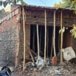 लखीमपुर खीरी 3दिसम्बर 25*जिले में सरकारी भूमि पर हो रहे अवैध कब्जे, जिला प्रशासन मौन, बना चर्चा का विषय*