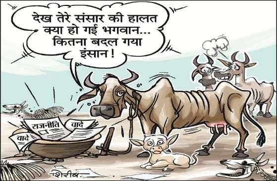 कानपुर नगर 6दिसम्बर 25*बिल्हौर ब्लॉक की गढ़ी बिहारीपुर गोशाला में बड़ा खुलासा*!