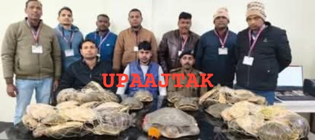 गयाजी 15दिसम्बर 25*गयाजी रेलवे जंक्शन पर आरपीएफ की बड़ी कार्रवाई, नेताजी एक्सप्रेस से 76 जीवित कछुए बरामद* गयाजी 15दिसम्बर 25*गयाजी रेलवे जंक्शन पर आरपीएफ की बड़ी कार्रवाई, नेताजी एक्सप्रेस से 76 जीवित कछुए बरामद*