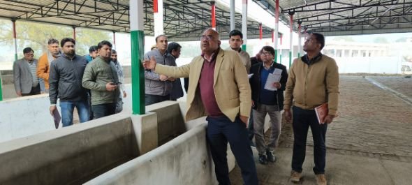 कानपुर नगर 5 जनवरी 26*घाटमपुर में वृहद कान्हा गौशाला का कानपुर जिलाधिकारी जितेंद्र प्रताप सिंह ने किया औचक निरीक्षण*