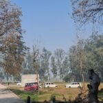 लखीमपुर खीरी 21 जनवरी 26 * राजकीय पौधशाला में सैकड़ों पेड़ों की नीलामी। ..