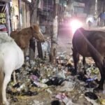 अयोध्या 21 फ़रवरी 26*नगरपालिका उड़ा रहा स्वच्छ भारत मिशन की धज्जिया……… तारिक रुदौलवी