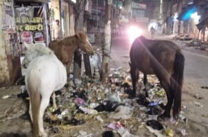 अयोध्या 21 फ़रवरी 26*नगरपालिका उड़ा रहा स्वच्छ भारत मिशन की धज्जिया......... तारिक रुदौलवी