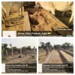 बांदा21 फरवरी 26* गौशाला का निर्माण एक करोड़ 60 लाख का, लेकिन गौशाला के चारों तरफ बाउंड्री ही नहीं 