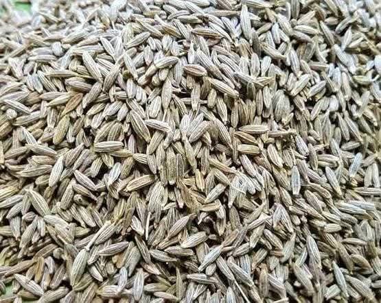 मध्य प्रदेश 1 फ़रवरी 26 * ग्वालियर पुलिस ने पकड़ा नकली जीरा। ..