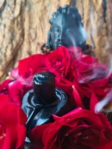 नई दिल्ली 2 फरवरी 26 * "जय-विजय चैंबर" में सोमनाथ से लाए गए शिवलिंग की स्थापना। ..........