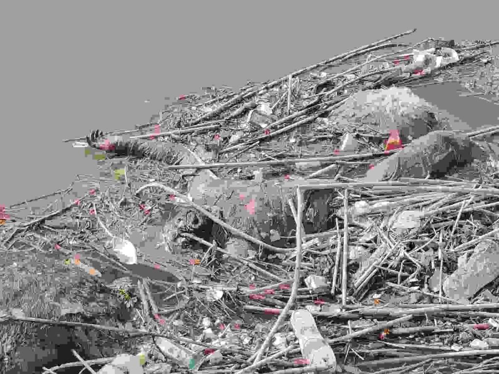 कानपूर नगर १० फरवरी  26*सचेंडी थाना क्षेत्र में मिली सड़ी-गली लाश, इलाके में सनसनी