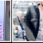 इंदौर १७ फरवरी २६ * इंदौर में 13 फरवरी को MBA छात्रा की डेडबॉडी उसके क्लासमेट पीयूष धामनोतिया के रूम में मिली।