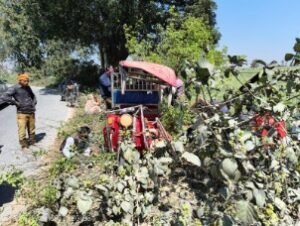 हरदोई 1 मार्च 26*पिहानी सल्लिया के गौरैया मोड़ पर ई रिक्शा हादसा: कई सवारियों को आई चोटें*