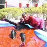 वाराणसी5 मार्च 26*डीएम और पुलिस कमिश्नर की होली: रंगों के टब में मस्ती करते दिखे दोनों अफसर*