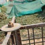 कौशाम्बी 17 मार्च 26*इलाज करने के बजाय मर्ज़ बांट रहा हैं संयुक्त जिला चिकित्सालय*