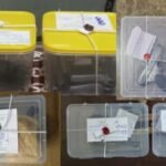 जयपुर19 मार्च 26*श्रीगंगानगर में बॉर्डर क्षेत्र में बड़ी कार्रवाई, हथियारों का जखीरा पकड़ा, 11 आरोपी गिरफ्तार*