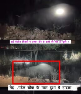 रोहतास 20 मार्च 26*चर्चित समाजसेवी शिव गांधी ने बेजुबान पंछी की जान बचाकर इंसानियत की मिसाल पेश की*