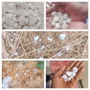 बांदा27मार्च26*तिंदवारी में ओलावृष्टि ने मचाई तबाही, खेतों में खड़ी फसलें बर्बाद**