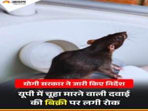 लखनऊ १८ मार्च २६ * अत्यंत घातक चूहनाशक उत्पादों, विशेषकर येलो-व्हाइट फास्फोरस युक्त 'रैटोल पेस्ट' आदि की बिक्री पर तत्काल प्रभाव से रोक लगा दी है