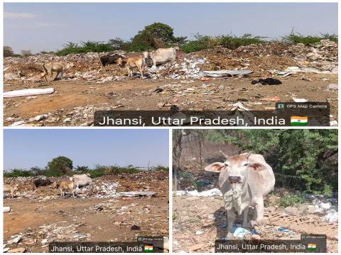 झाँसी १० मार्च २६ * झांसी खुले में कचरा डंपिंग पर छिड़ा 'विभागीय युद्ध', छावनी परिषद ने नगर निगम के पाले में डाली गेंद
