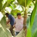 भागलपुर२१ अप्रैल २६* खूनी सोमवार, एक ही रात दो कत्ल,चाकू और गोली से दहला इलाका