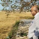 कानपुर नगर ग्रामीण 6 अप्रैल 26*बेमौसम बारिश से फसल क्षति का जिलाधिकारी ने किया स्थलीय निरीक्षण