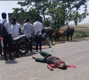भागलपुर 7 अप्रैल 26*लोदीपुर में सड़क हादसा, अनियंत्रित वाहन की टक्कर से युवक की मौके पर मौत*