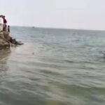 भागलपुर24अप्रैल26* गंगा स्नान के दौरान बड़ा हादसा, एक ही परिवार के तीन सदस्य नदी में डूबे, गांव में पसरा मातम