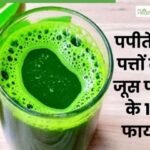 *🏵️पपीते के पत्तो की चाय किसी भी स्टेज के कैंसर को सिर्फ 60 से 90 दिनों में कर देगी जड़ से खत्म,🏵️*