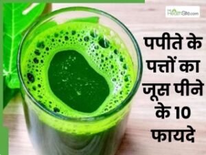 *🏵️पपीते के पत्तो की चाय किसी भी स्टेज के कैंसर को सिर्फ 60 से 90 दिनों में कर देगी जड़ से खत्म,🏵️*