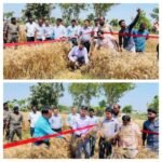 पूर्णिया बिहार 7 अप्रैल 26 गेहूं की फसल कटनी: जिला पदाधिकारी ने किया निरीक्षण, 29 क्विटल प्रति हे० उत्पादन अनुमानित