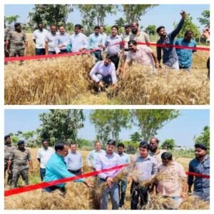 पूर्णिया बिहार 7 अप्रैल 26 गेहूं की फसल कटनी: जिला पदाधिकारी ने किया निरीक्षण, 29 क्विटल प्रति हे० उत्पादन अनुमानित