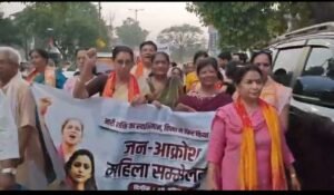 लखनऊ28अप्रैल26*नारी शक्ति वंदन अधिनियम पर भाजपा महिला कार्यकर्ताओं का प्रदर्शन*