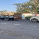 मोहनलालगंज, लखनऊ23अप्रैल26* नियमों को ताख पर रख कर रोजाना निकाली जाती है युकेलिपट्स से ओवर लोड लदी ट्रैक्टर ट्रॉलिया..