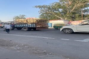 मोहनलालगंज, लखनऊ23अप्रैल26* नियमों को ताख पर रख कर रोजाना निकाली जाती है युकेलिपट्स से ओवर लोड लदी ट्रैक्टर ट्रॉलिया..