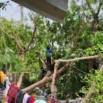 हरदोई28मई26*आंधी-तूफान से बिजली व्यवस्था ध्वस्त, ग्रामीण क्षेत्रों में पांच दिन तक बाधित रह सकती है आपूर्ति*