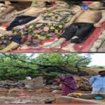 कौशाम्बी29मई26*आंधी तूफान बारिश के दौरान कच्चा मकान पर पेड़ गिरने से महिला वा दो मासूम बच्चों की दर्दनाक मौत*