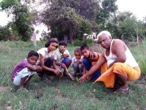 मिर्जापुर:6 जून 26 *आम के कुसली से शुगर की बिमारियां दूर की जा सकती है*