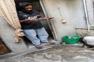 नैनीताल17जून26*बाथरूम में निकले सर्प को सुरक्षित और सही ढंग से किया रेक्यू