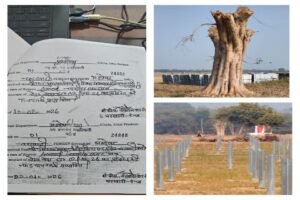 महोबा १९ जून २०२६ * बरगद और पीपल के पेड़ कटे, कार्रवाई कंपनी पर नहीं किसानों पर ठोंका जुर्माना