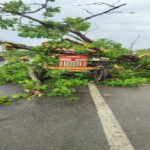 सुल्तानपुर ९ जून २०२६ *आंधी-पानी में ट्रैक्टर पर गिरा पेड़, चालक ने कूदकर बचाई जान
