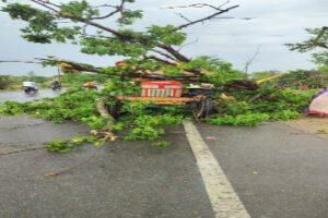 सुल्तानपुर ९ जून २०२६ *आंधी-पानी में ट्रैक्टर पर गिरा पेड़, चालक ने कूदकर बचाई जान