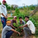 बांदा 1 जुलाई 26*जन्मदिन पर बदली परंपरा: पत्रकार सचिन कुमार ने केक नहीं काटा, बुजुर्गों का आशीर्वाद लेकर लगाए 15 पौधे*