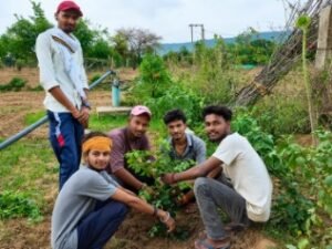 बांदा 1 जुलाई 26*जन्मदिन पर बदली परंपरा: पत्रकार सचिन कुमार ने केक नहीं काटा, बुजुर्गों का आशीर्वाद लेकर लगाए 15 पौधे*