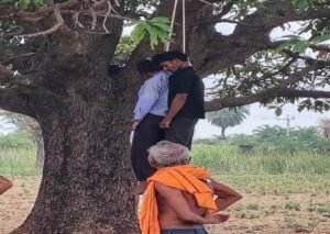 महोबा2जुलाई26*संदिग्ध परिस्थितियों में पेड़ से लटके मिले प्रेमी युगल के शव, क्षेत्र में सनसनी
