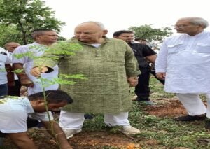 गुढ़6जुलाई26*करियाझर में सांसद एवं विधायक की उपस्थिति में हुआ मुनगा के पौधों का बृहद वृक्षारोपण।*