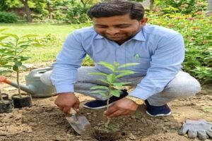 कानपुर नगर13जुलाई26* मनसुखलाल लाल सर्वोदय इंटर कॉलेज में दर्जनों पेड़ रोपे गए 200 का लक्ष्य* कानपुर नगर13जुलाई26* मनसुखलाल लाल सर्वोदय इंटर कॉलेज में दर्जनों पेड़ रोपे गए 200 का लक्ष्य*