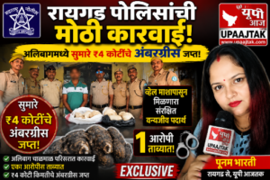 रायगड29जुलाई26*रायगड पोलिसांची मोठी कारवाई! अलिबागमध्ये ₹4 कोटींचे अंबरग्रीस जप्त; एक आरोपी ताब्यात