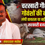 महोबा 29 अगस्त 26*चरखारी गौशाला में गोवंशों की बदहाली पर सवाल, लंपी जैसे लक्षणों से चिंता बढ़ी